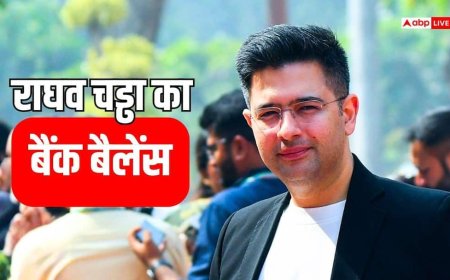 करोड़ों का रसूख, पर अपनी कोई जमीन नहीं! राघव चड्ढा ने शेयरों-बॉन्ड्स में किया है इतने लाख का निवेश