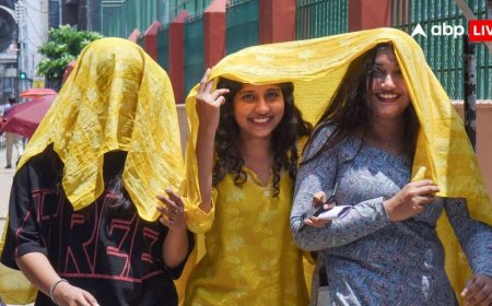 हाय रे गर्मी! उत्तर भारत में बड़ा हिस्सा Heat Stress की चपेट में; कई राज्यों में पारा 45 डिग्री के पार पहुंचा