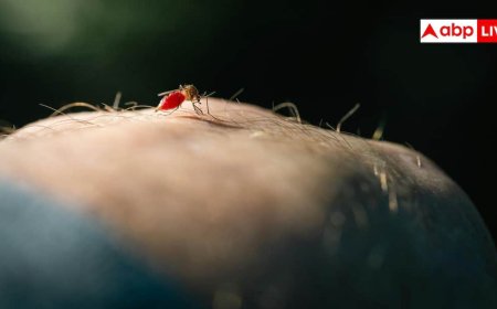World Malaria Day: हल्का बुखार इग्नोर करना पड़ सकता है भारी, हो सकता है मलेरिया