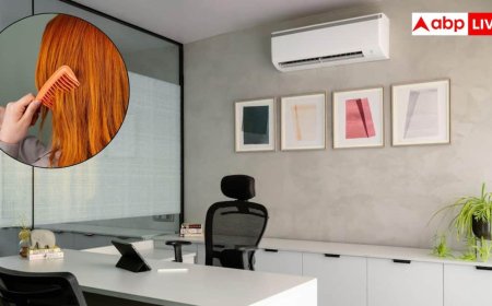 Office Air Theory: क्या ऑफिस की चिल्ड AC से बेजान हो जाते हैं बाल और स्किन, क्या कहते हैं एक्सपर्ट?