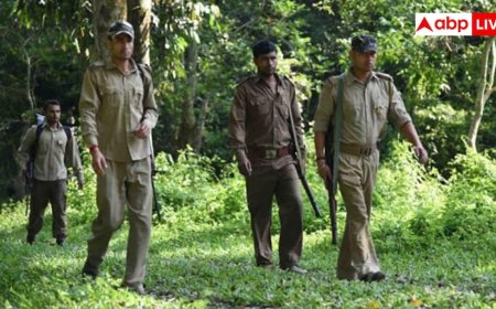 UP forest guard recruitment 2026: यूपी में वन रक्षकों के 700 से ज्यादा पदों पर शुरू होने वाली है भर्ती, 12वीं पास करें अप्लाई