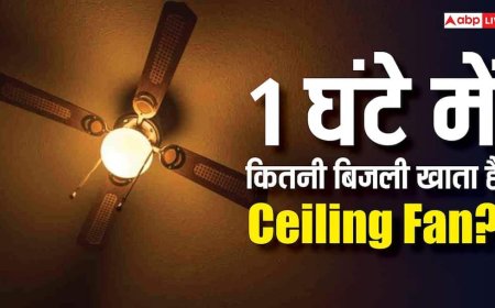1 घंटे में कितना बिजली खाता है Ceiling Fan, गर्मियों में इस्तेमाल करने से पहले समझ लें पूरा जोड़-गणित