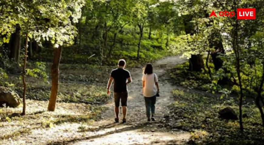 Benefits of Nature Walk: 20 मिनट नेचर में बिताएं अपना दिन, पाएं बेहतर हेल्थ और मेंटल रिलेक्स, जानें इसके फायदे