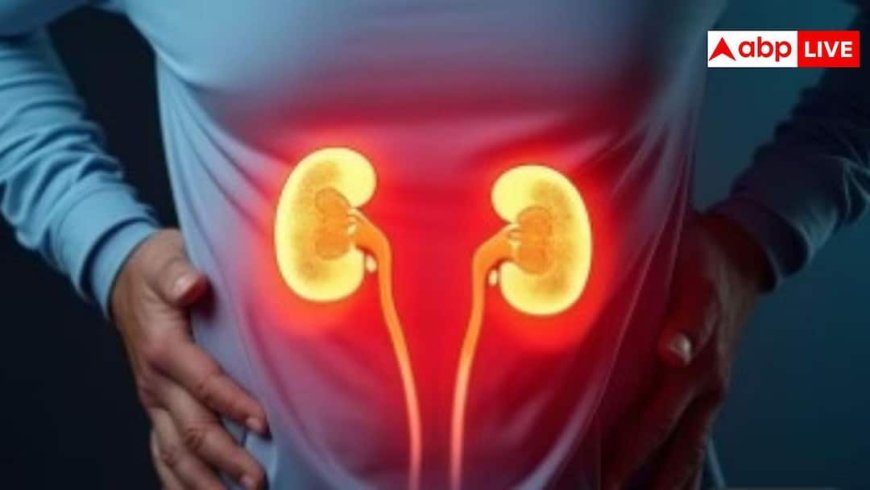 Kidney Health Problems: किडनी पर तनाव के शुरुआती लक्षण जिन्हें लोग अक्सर कर देते हैं नजरअंदाज; समय रहते पहचानें