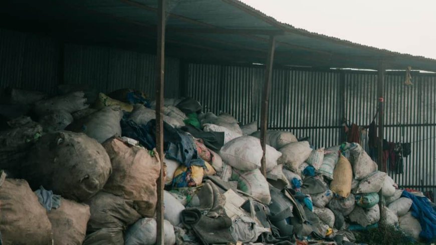 Effects Of Bad Smells On Health: आसपास की बदबू आपको बना रही है बीमार? जानें सेहत पर इसके गंभीर असर