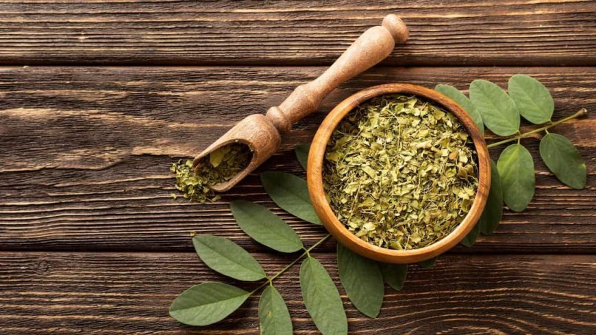 Moringa Leaves Benefits: मोरिंगा के पत्ते खाने से दूर हो जाती हैं ये बीमारियां, आज से ही शुरू कर दें इस्तेमाल