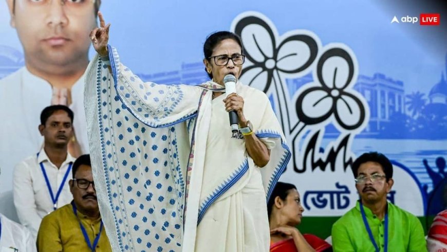 'सांप पर भरोसा कर सकते हैं पर बीजेपी पर नहीं', असम चुनाव का जिक्र कर ममता बनर्जी ने क्यों किया ऐसा दावा?