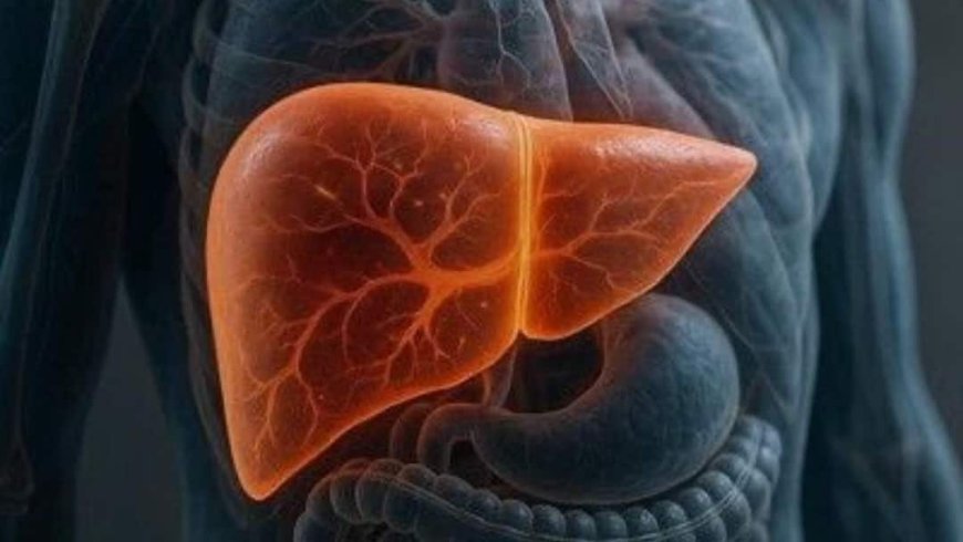 Fatty Liver Disease: क्या बिना शराब पिए डैमेज हो सकता है लिवर, जानें आपकी रोजाना की कौन-सी गलतियां पड़ रहीं भारी?