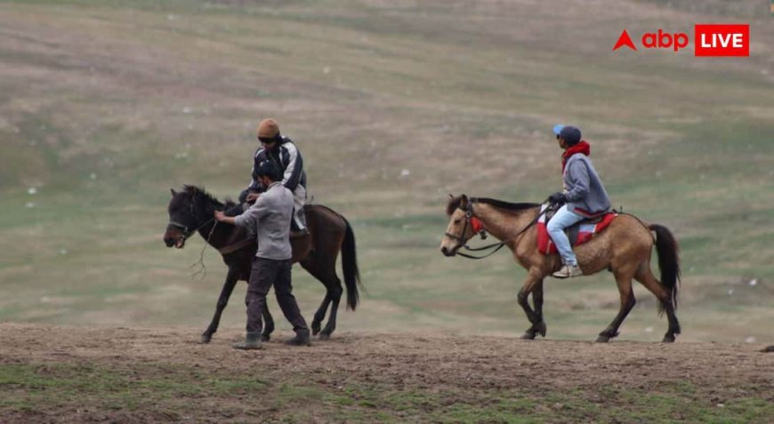 Animal Ride Weight Limit : ज्यादा है वजन तो इन जगहों पर नहीं जा सकते घूमने, जानें क्यों लागू हुआ कानून?