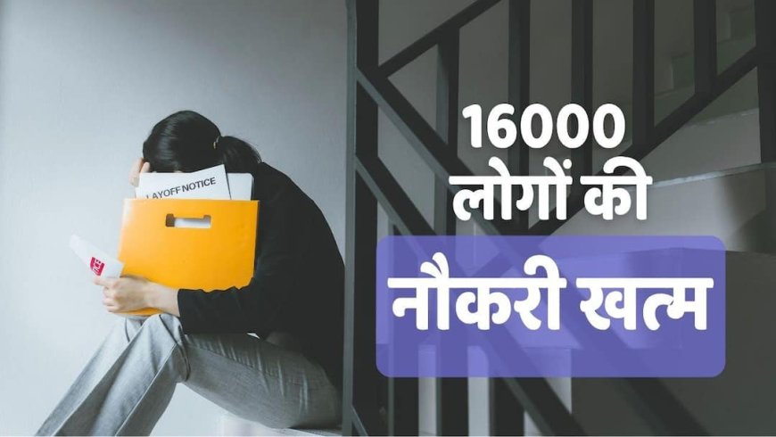 नौकरी खा रहा AI, 16000 कर्मचारियों को निकालेगी ये दिग्गज कंपनी, 20 मई से शुरू होगा छंटनी का दौर