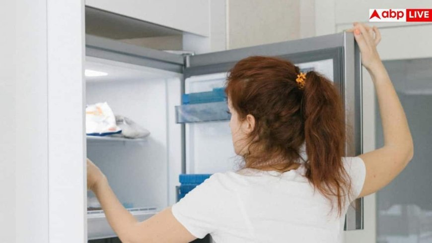 Freezer Smell Problem: फ्रीजर की बर्फ से आती है बदबू? ये एक गलती बिगाड़ रही खाने का स्वाद और सेहत