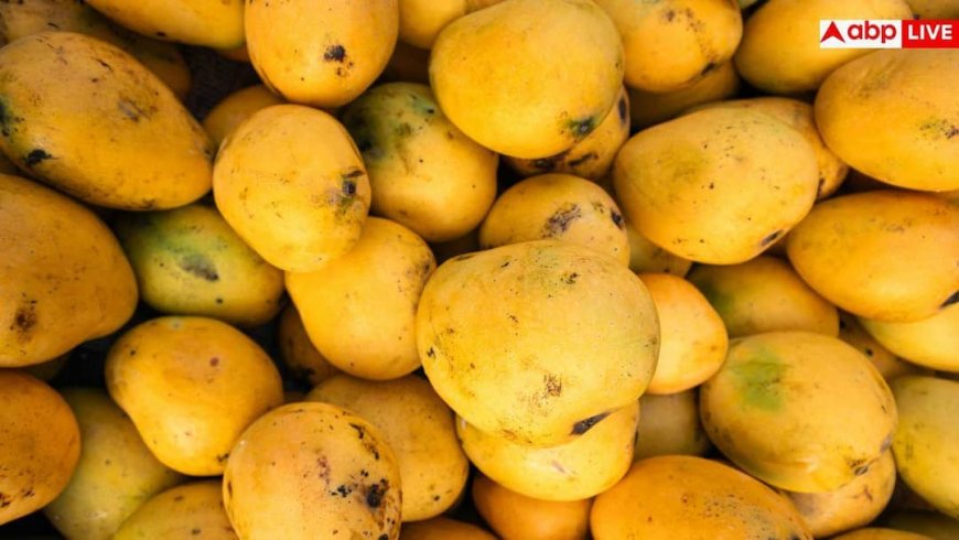 Mango For Diabetes: डायबिटीज में आम खा सकते हैं या नहीं? एक्सपर्ट से जानें सेहत से जुड़ी बात