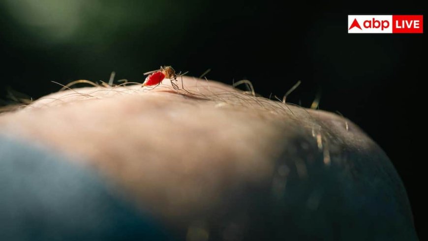 World Malaria Day: हल्का बुखार इग्नोर करना पड़ सकता है भारी, हो सकता है मलेरिया