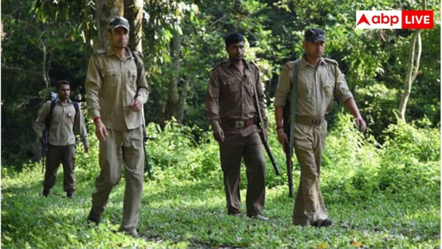 UP forest guard recruitment 2026: यूपी में वन रक्षकों के 700 से ज्यादा पदों पर शुरू होने वाली है भर्ती, 12वीं पास करें अप्लाई