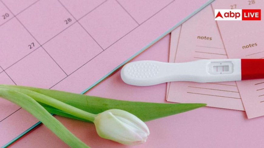 IVF Success Factors: मां बनने की राह में 'स्ट्रेस' बड़ा रोड़ा... तनाव-एंग्जायटी से घट रहा IVF का सक्सेस रेट