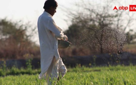 Top Agriculture University in India : ये हैं भारत की टॉप एग्रीकल्चर यूनिवर्सिटी, दाखिले के बाद मिलेगा लाखों का पैकेज