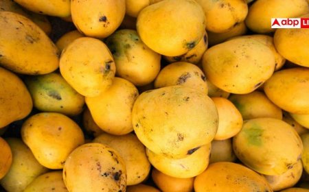 Mango And Body Heat: क्या ज्यादा आम खाने से सच में बढ़ती है शरीर की गर्मी? डॉक्टर से जानें सच