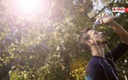 Heat Stroke Symptoms: लू लगने से पहले ये संकेत देता है हमारा शरीर, भूलकर भी न करें नजरअंदाज