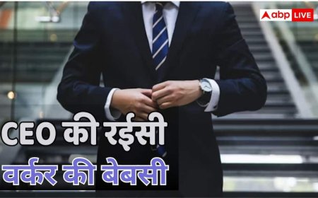 एक आम कर्मचारी को CEO जितना कमाने में लगेंगे 490 साल! 5 जन्मों तक करनी होगी नौकरी- रिपोर्ट