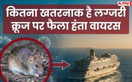 Hantavirus Outbreak: कितना खतरनाक है लग्जरी क्रूज पर फैला हंता वायरस, जिसने ले ली तीन लोगों की जान?