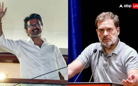 तमिलनाडु में सरकार गठन की कवायद तेज, क्या विजय की पार्टी TVK का समर्थन करेगी कांग्रेस?