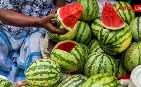 Watermelon Health Tips: क्या आप भी गलत तरीके से खा रहे तरबूज? रात में भूलकर भी न करें ये काम, जानें इसे खाने का सही समय