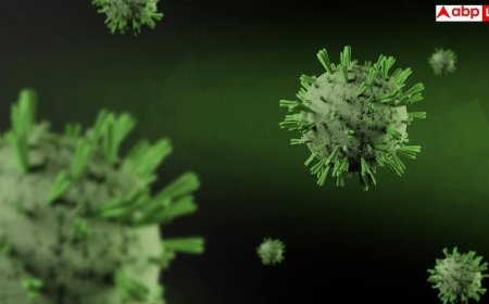 Hantavirus Infection: क्या आपके घर में भी हैं चूहे? जानलेवा 'हंता वायरस' को लेकर डॉक्टरों ने क्या कहा?