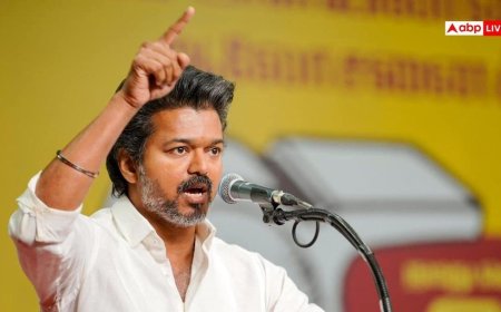तमिलनाडु: विजय की पार्टी TVK के सभी 108 MLAs दे देंगे इस्तीफा, अगर DMK या AIADMK ने उठाया ये कदम
