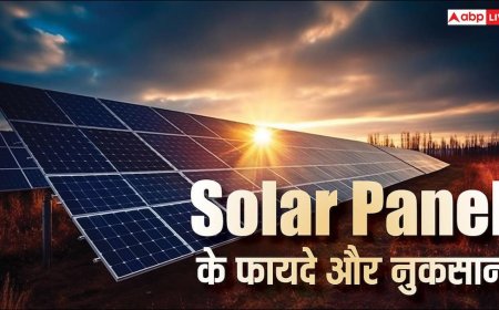 Solar Panel लगाने की कर रहे हैं प्लानिंग तो फायदों के साथ लिमिटेशन जानना भी जरूरी, नहीं तो पड़ेगा पछताना