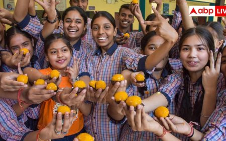 PSEB 10th result 2026: पंजाब बोर्ड 10वीं का रिजल्ट जारी, जानिए कैसे डाउनलोड कर सकते हैं मार्कशीट