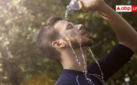 Summer Care Tips: खून सूखना-जलन या सूजन... ज्यादा गर्मी से हमारे शरीर पर क्या पड़ता है असर, यह कितनी खतरनाक?