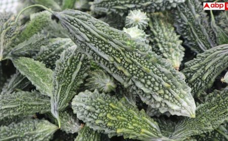 Karela Bitterness Removal Tips: करेला कड़वा है... अब नहीं चलेगा बच्चों का यह बहाना, इस ट्रिक से बनाएंगे तो खत्म हो जाएगी कड़वाहट