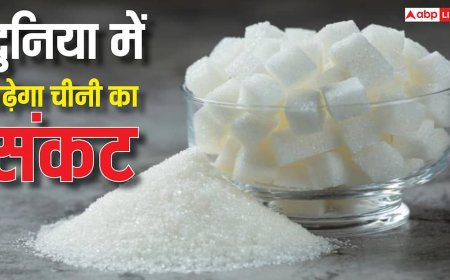 Global Sugar Effect: सरकार ने रोक दिया चीनी का एक्सपोर्ट, भारत के इस फैसले से दुनिया पर पड़ेगा भारी असर, लेकिन...