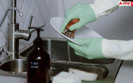 Kitchen Sponge Cancer Claim: कैंसर को दावत दे रहा आपका किचन स्क्रबर! वजह जान आज ही बदल लेंगे बर्तन धोने का तरीका