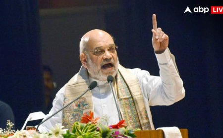 ‘जियो-पॉलिटिकल मतभेंदों से ऊपर उठकर लड़ना होगा’, ड्रग्स तस्करी के खिलाफ अमित शाह का वैश्विक सहयोग पर जोर