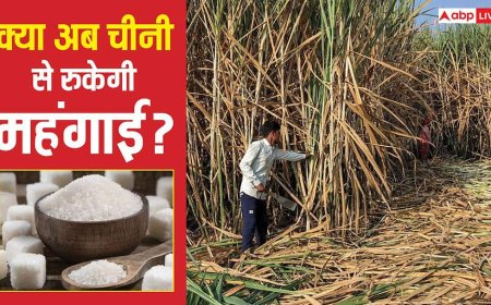 Sugar Export: चीनी पर सरकार टेंशन में क्यों? स्टॉक भरपूर फिर क्यों अपनाया प्रोटेक्शन मोड? जानें निर्यात बैन की वजह