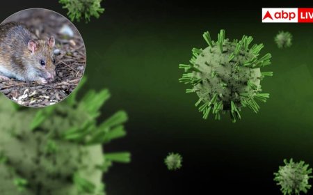 Hantavirus Outbreak: बदलते मौसम के साथ तेजी से फैल रहा हंतावायरस वायरस, क्लाइमेट चेंज का नया खतरा