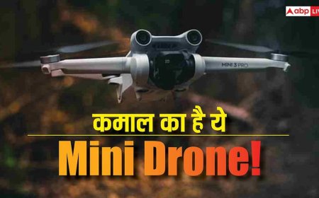 वैज्ञानिकों का कमाल! अब मधुमक्खियों जैसे उड़ने वाले Drones खुद ढूंढ़ सकेंगे रास्ता, दुनिया बदल सकती है ये टेक
