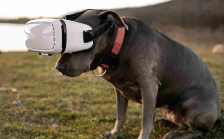Pet Safety का नया जुगाड़! ये 5 Smart Gadgets आपके Pet पर रखेंगे पल-पल नजर, नहीं रहेगा चोरी होने का डर