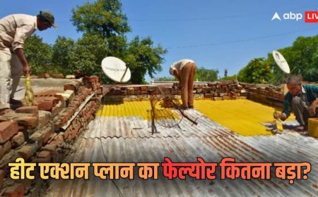 Explained: 10 साल बाद भी हीट एक्शन प्लान अधूरा! दिल्ली में फेल और सिर्फ अहमदाबाद में पास क्यों? एक्सपर्ट्स से समझें