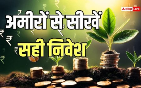 Investment by Rich: अमीरों का सीक्रेट, म्यूचुअल फंड छोड़ अब कहां पैसा लगा रहे हैं भारत के रईस? सीखें निवेश