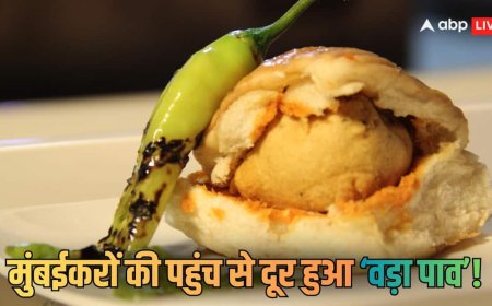 Explained: रोजाना 80 लाख बिक्री और 1.6 करोड़ कमाई! मुंबई की पहचान 'वड़ा पाव' का महंगा होना नॉर्मल क्यों नहीं? कितना बड़ा असर