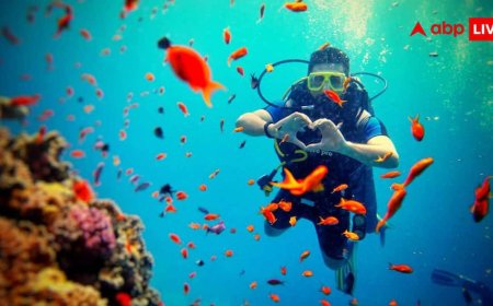 Top Best Scuba Diving Destinations in India: स्कूबा डाइविंग के लिए बेस्ट हैं ये Indian place, कम खर्च में आ जाएगा थाईलैंड का मजा