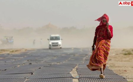 Heatwave Alert: भीषण गर्मी-लू का अलर्ट जारी, हीट स्ट्रोक से बचने के लिए अपनाएं ये उपाय, वरना जा सकती है जान