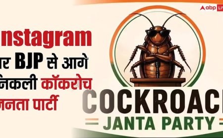 25000 से आगाज और 4 दिन में 14 मिलियन पार, इंस्टाग्राम पर BJP को 'पंजा' मारकर आगे निकली Cockroach Janata Party