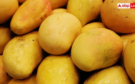 Right Way to Eat Mango: आम खाने के बाद खराब हो जाता है पेट? गर्मी में ऐसे ले सकते हैं फलों के राजा का मजा