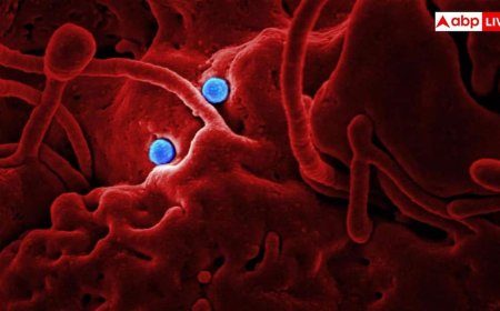 Africa Ebola outbreak: अफ्रीका में बढ़ते Ebola केसों के बीच भारत की एंट्री, Bundibugyo वैक्सीन बनाने में जुटा सीरम इंस्टीट्यूट