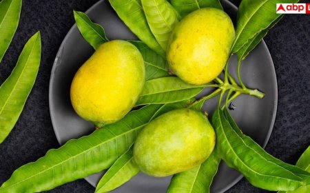 Mango And Pimples: आम बदनाम है या सच में बढ़ाता है Acne, डॉक्टर्स से जानें पिंपल्स की असली वजह