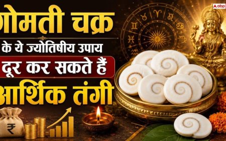 Gomati Chakra: जेब में रखें बस 1 गोमती चक्र, हर इंटरव्यू और बिजनेस में मिलेगी सफलता