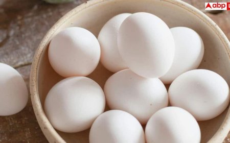 Eating 2 Eggs Daily: अंडे से कोलेस्ट्रॉल बढ़ने का डर छोड़ें, रोज 2 अंडे खाने से शरीर में दिखेंगे ये बड़े बदलाव